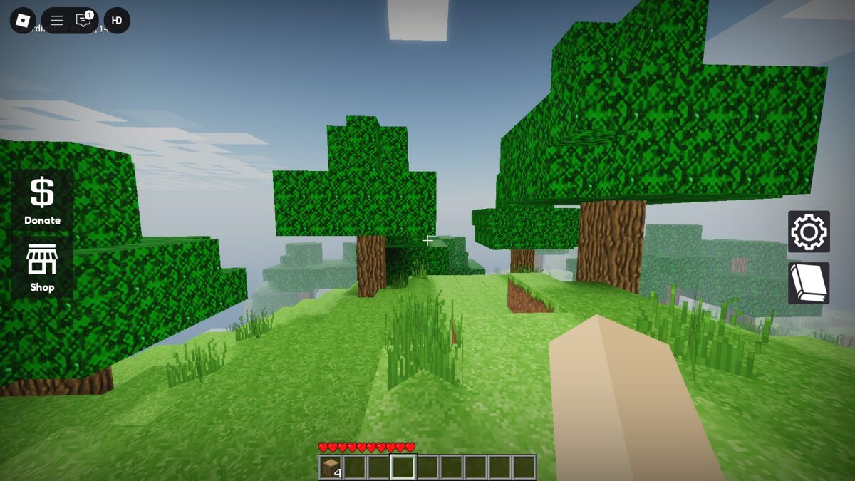 RobloxScreenShot20250722_222721436.jpg